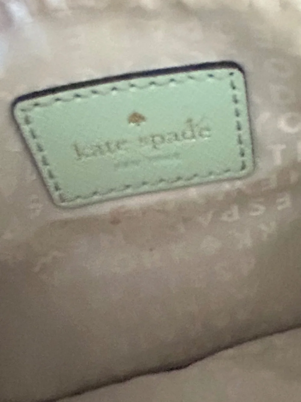 kate spade mint green wristlet